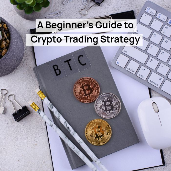 A Beginner’s Guide to Crypto Trading Strategy A Beginner’s Guide to Crypto Trading Strategy