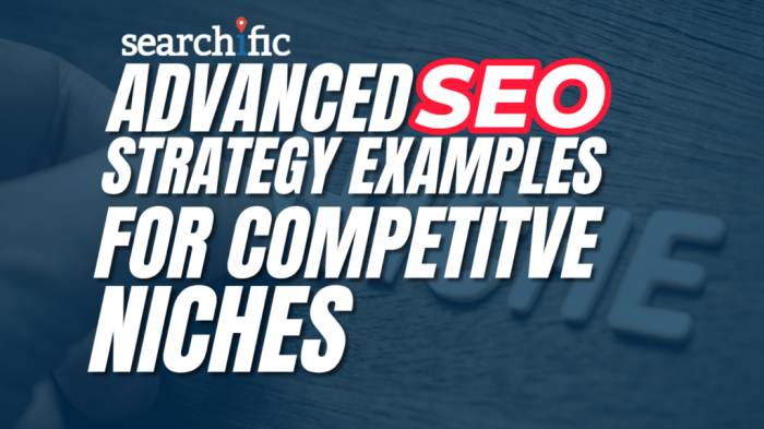 Advanced SEO Strategy Examples for Competitive Niches - Searchific