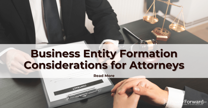 Business Entity Formation Considerations for Attorneys and Other ... Business Entity Formation Considerations for Attorneys and Other ...