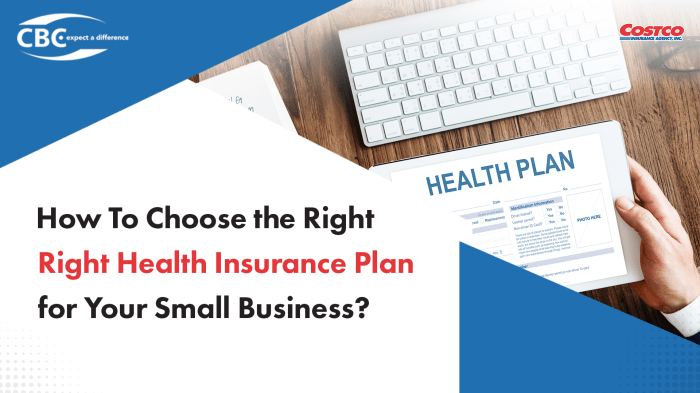 Global Business Health Insurance Market to See Huge Growth by 2025 ...