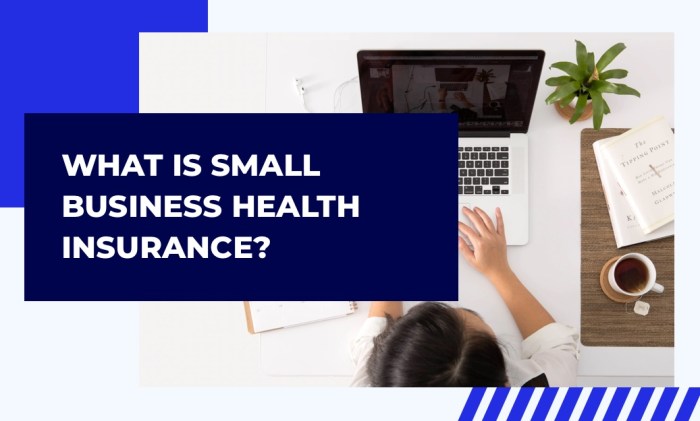 What is Small Biz Health Insurance? | Association Health Plans What is Small Biz Health Insurance? | Association Health Plans